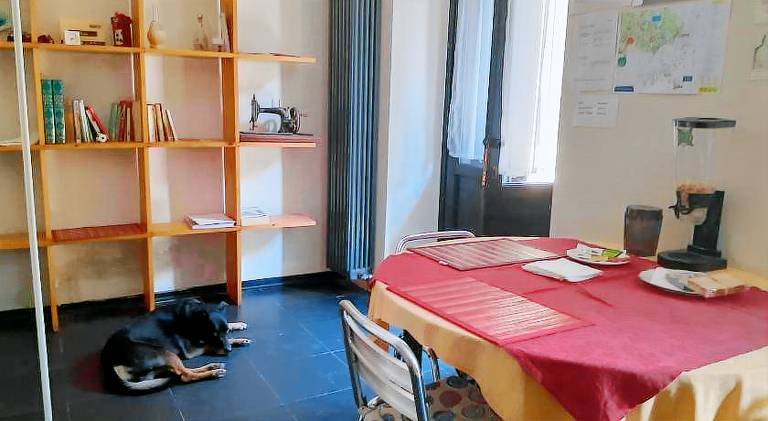 Rental apartment with terrace | Pets allowed — photo 5