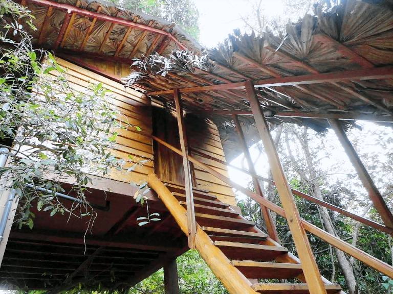 Inn On The Tree in Dambulla