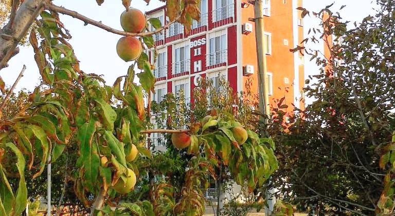 Boss 2 Hotel in Eceabat