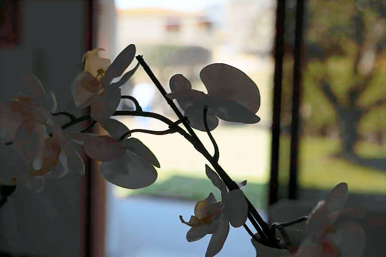 Villa with garden — photo 3