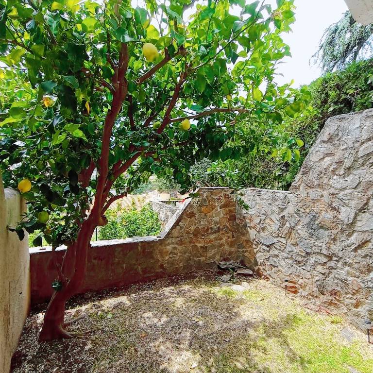 Appartement Collioure