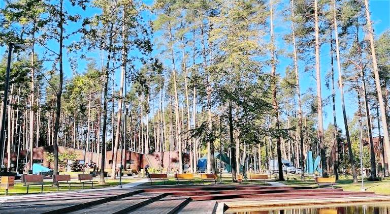 Nice lodge with yard, BBQ & sauna | Pets allowed — photo 5