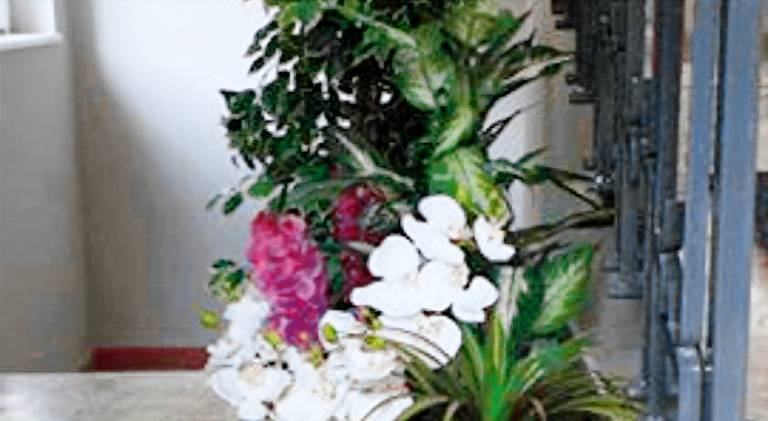 foto4
