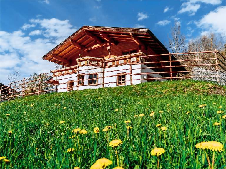 Ferienhaus Seidlwinkl