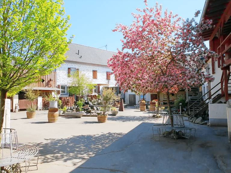 Ferienwohnung Münstermaifeld
