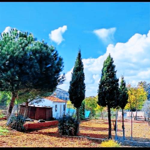 Casa Guadalcanal