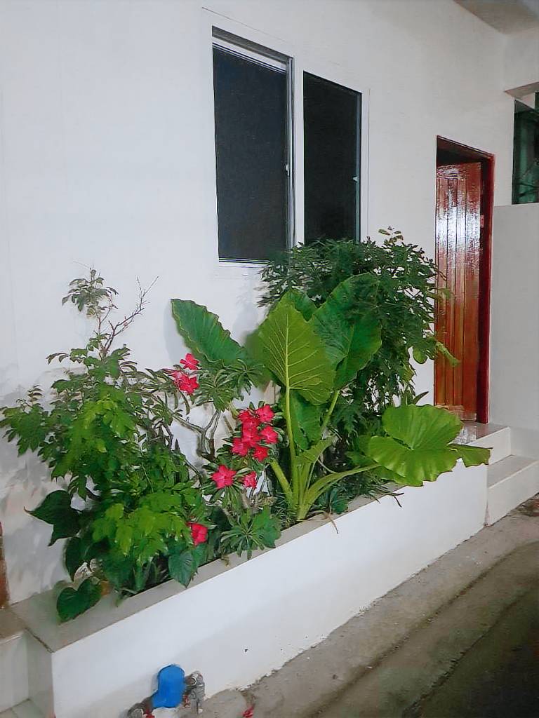 Holiday apartment with barbeque — photo 4