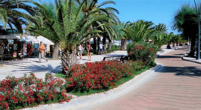 Hotel Soraya — photo 5