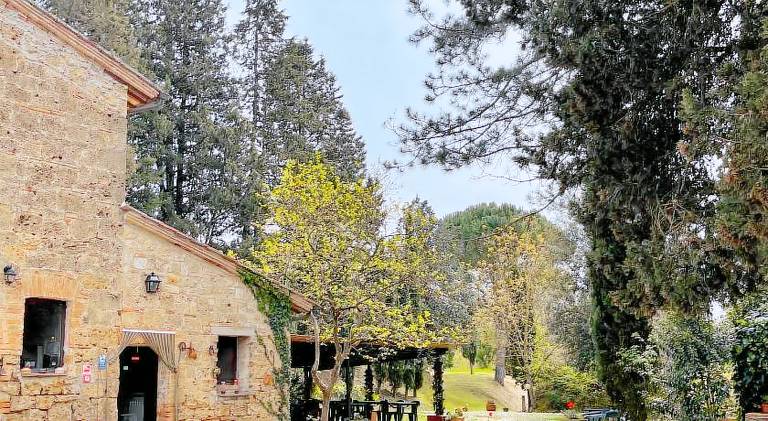 Rental apartment with pool in Cetona