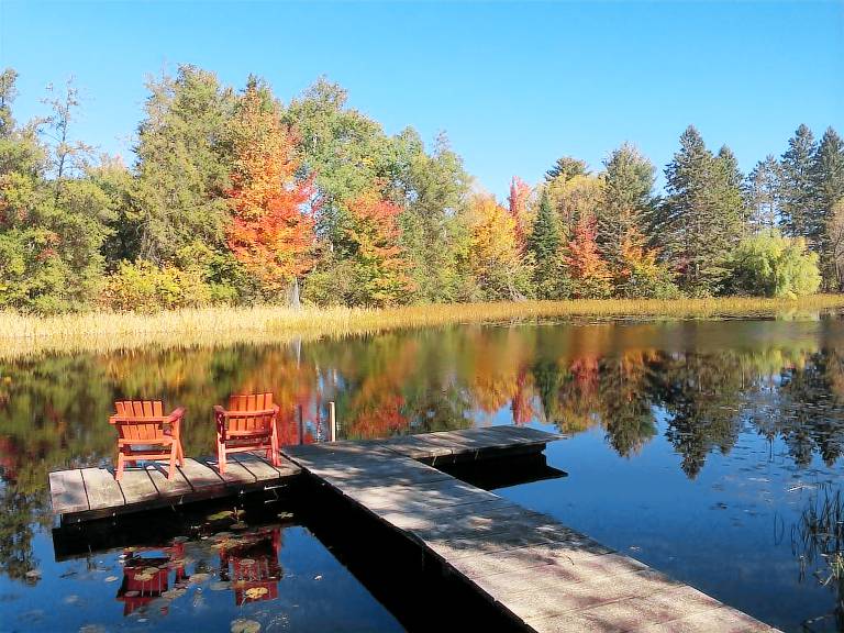 Cabin Hayward