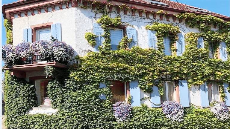 Ferienwohnung  Burkheim