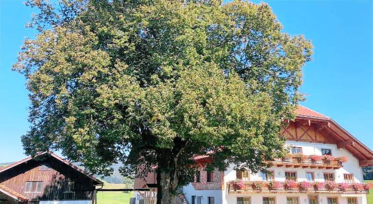 Apartment  Straßwalchen