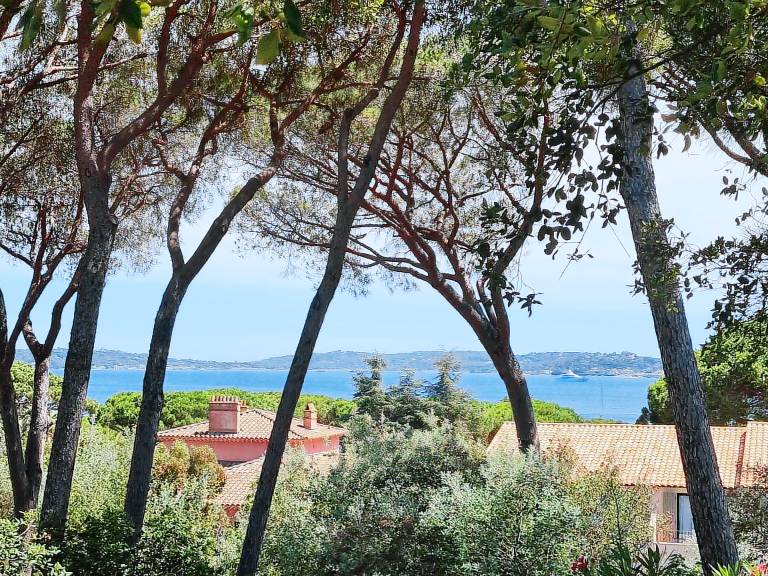 Vacation home with pool in Sainte-Maxime