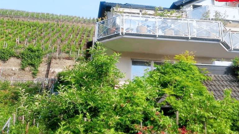 Ferienhaus Mayschoß