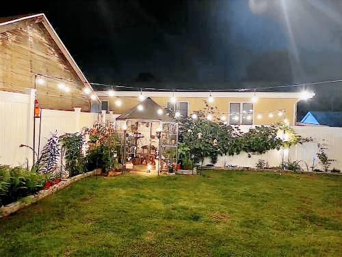 foto1