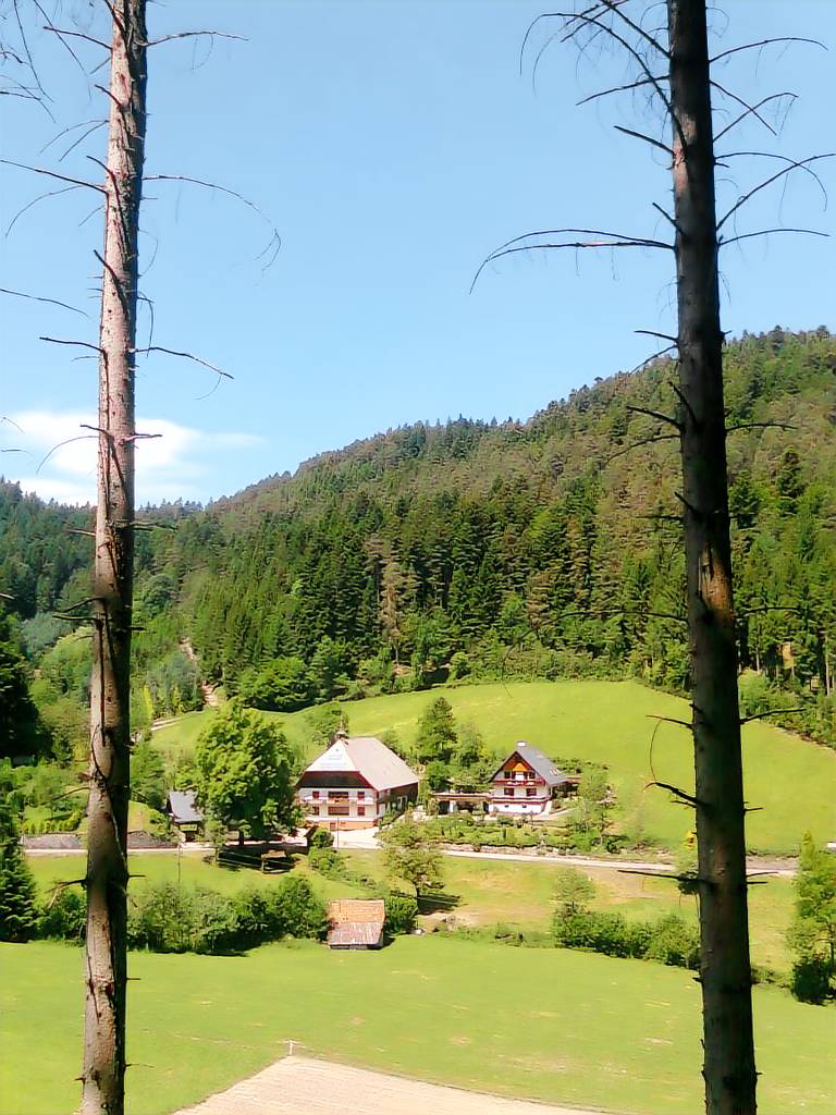 Ferienwohnung Hornberg