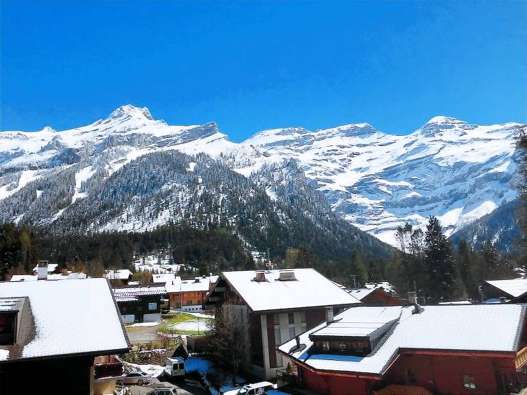 Appartement Les Diablerets