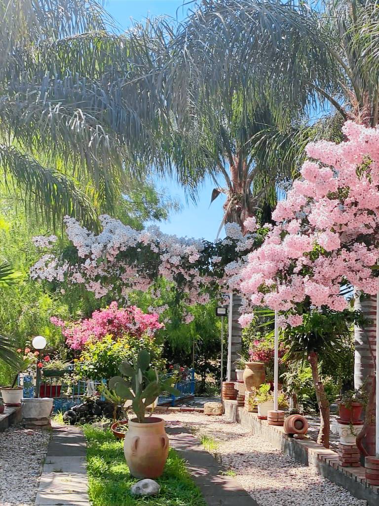 Appartamento Giardini Naxos
