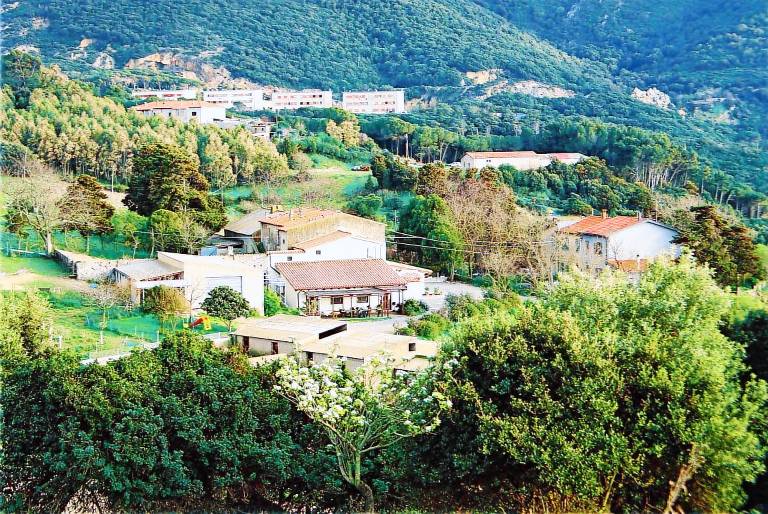 Casa Arbus