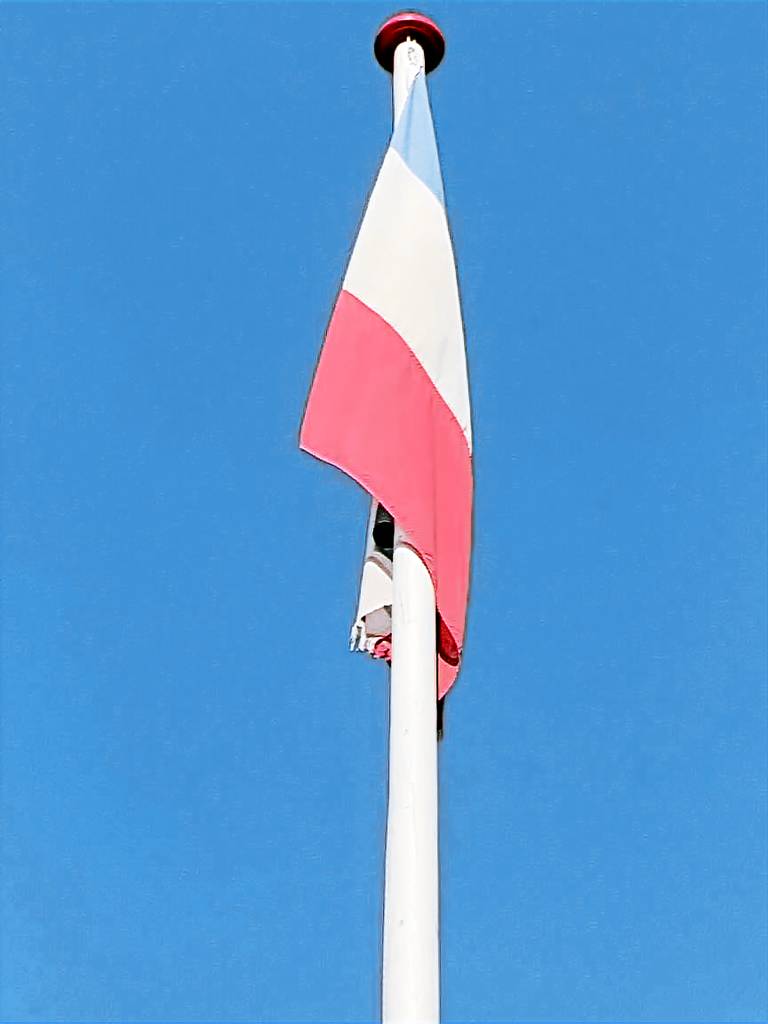foto4