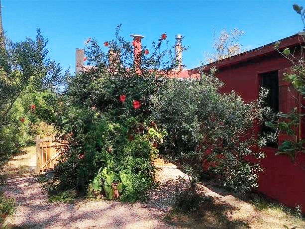 Locanda  La Paloma