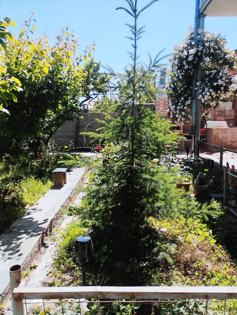 foto4