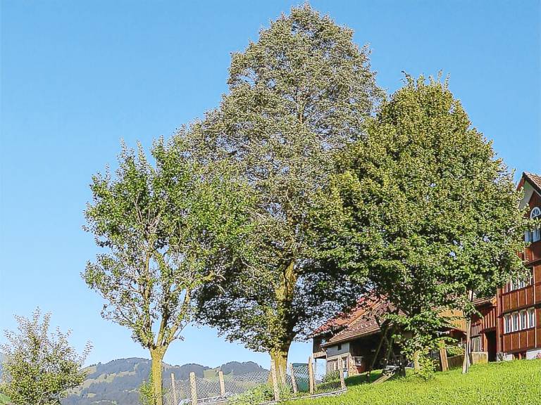 Ferienwohnung Feldkirch