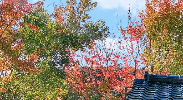 68 m&sup2; Ferienhaus