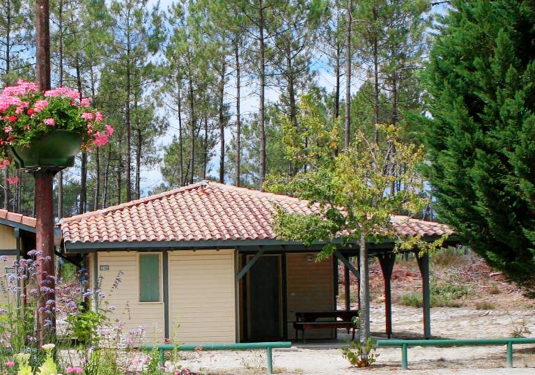 Gîte Vert