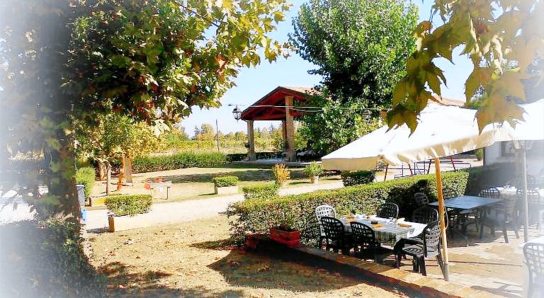 Wonderful house with yard | Good for workation | Pets are welcome — photo 3