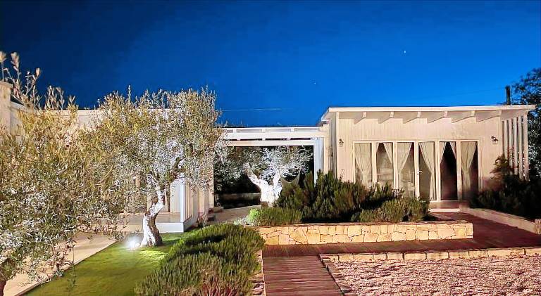 Villa with pool — photo 4