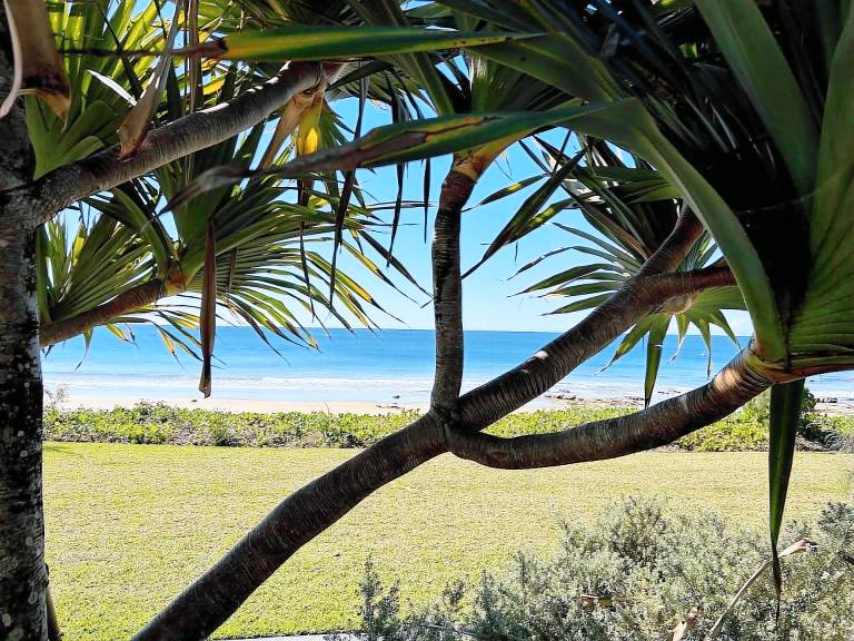 House Buderim