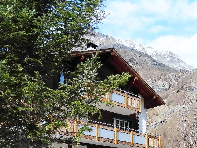 Alpenperle — photo 5