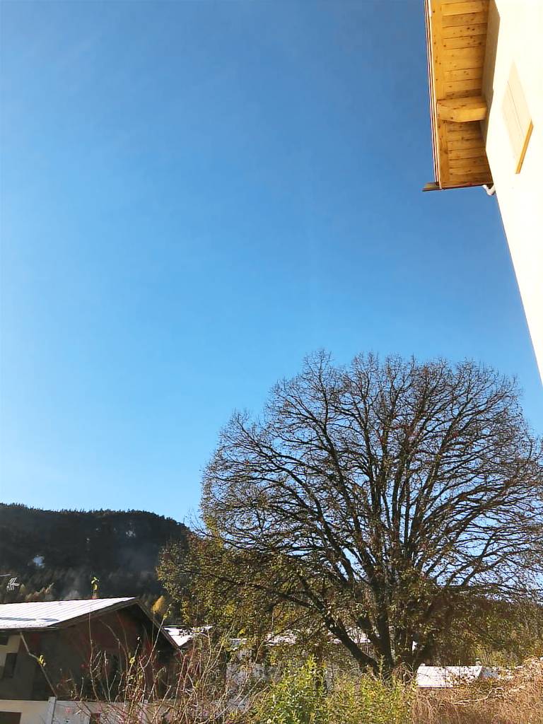 Privatzimmer mit Hund in Tai di Cadore, Pieve di Cadore f&uuml;r max. 2 Personen