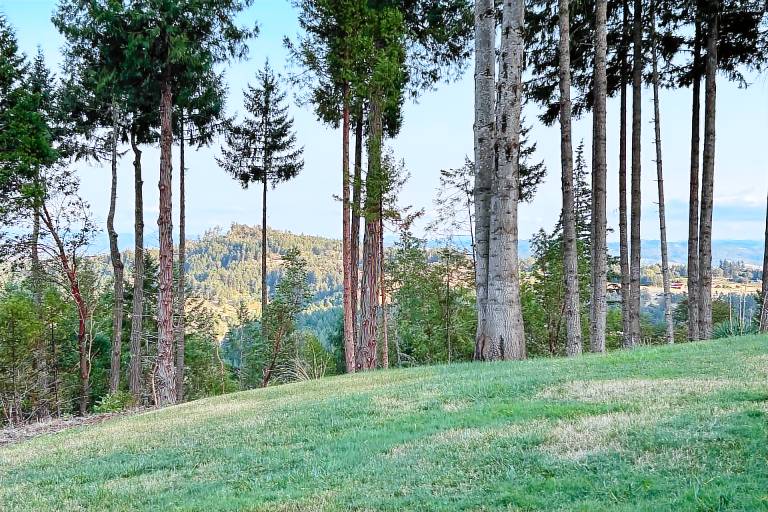 4 Mi to River: Umpqua Valley Villa w/ Fire Pit! — photo 3