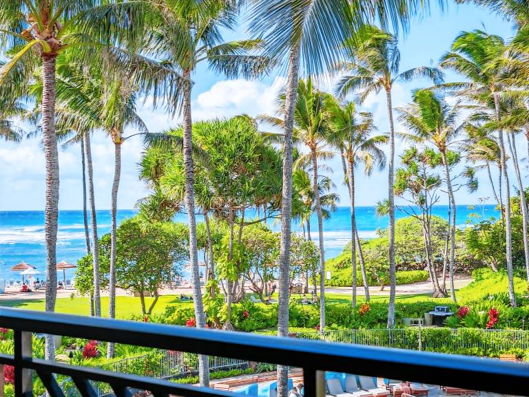 Villa  Turtle Bay