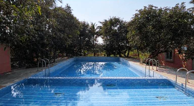 The Gir View Resort — photo 4