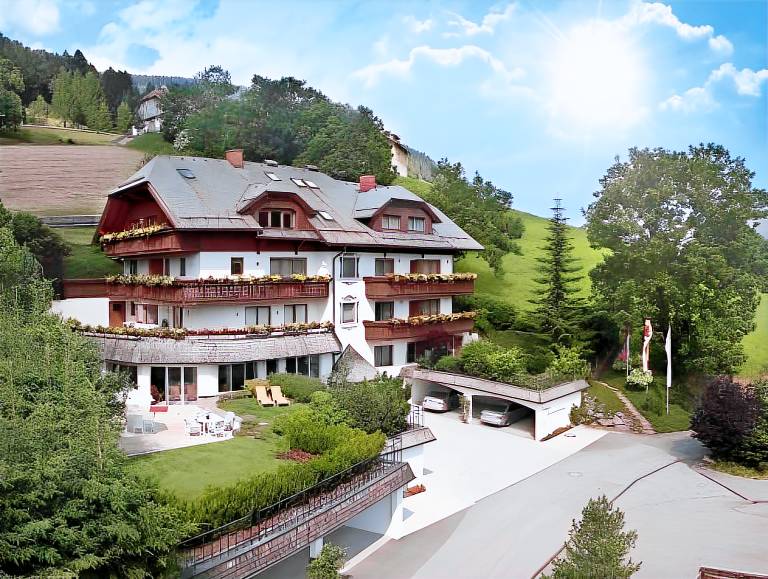 Charming rental apartment with pool, terrace & garden | Close to the ski | Dogs allowed in Bad Kleinkirchheim