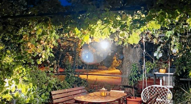 Serviced apartment with yard, BBQ & terrace — photo 4