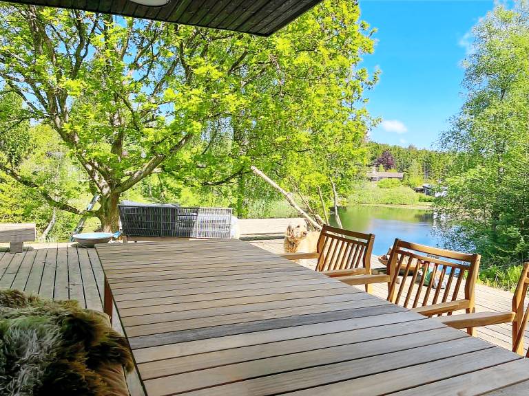 House with patio, yard & grill — photo 4