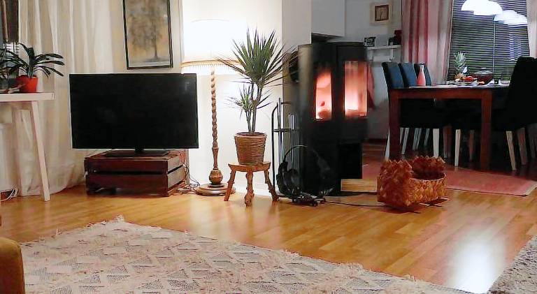 Apartment | Pets are welcome — photo 3