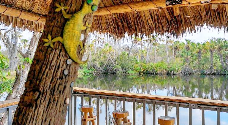 Charming holiday apartment | Dogs allowed in Bradenton, FL