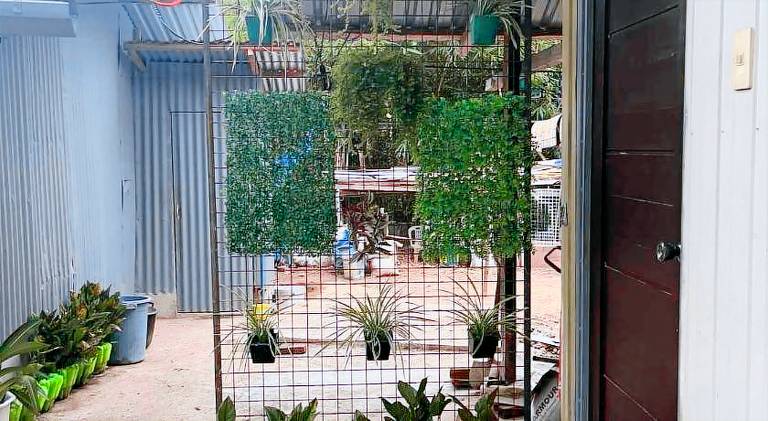 Charming vacation home with garden | Good for workation | Dogs allowed — photo 5