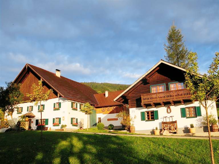 Ferienwohnung Attersee