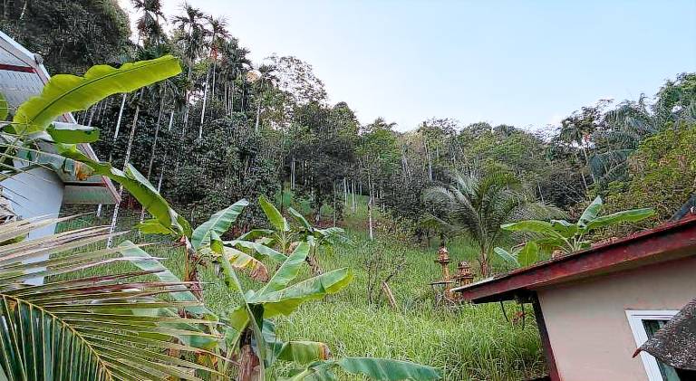 Vacation home with terrace — photo 5