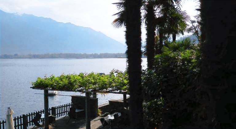 Rental apartment with pool | Pets are welcome in Locarno
