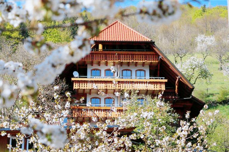 Ferienwohnung Bad Peterstal-Griesbach