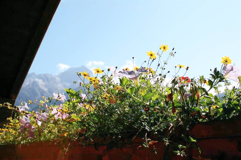 Family-oriented nice holiday apartment with yard | Pets are welcome — photo 3
