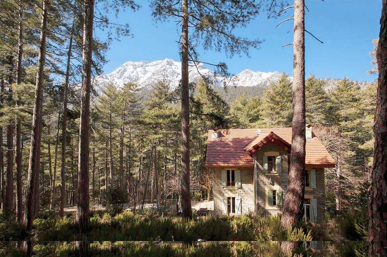 Bed & Breakfast  Vivario