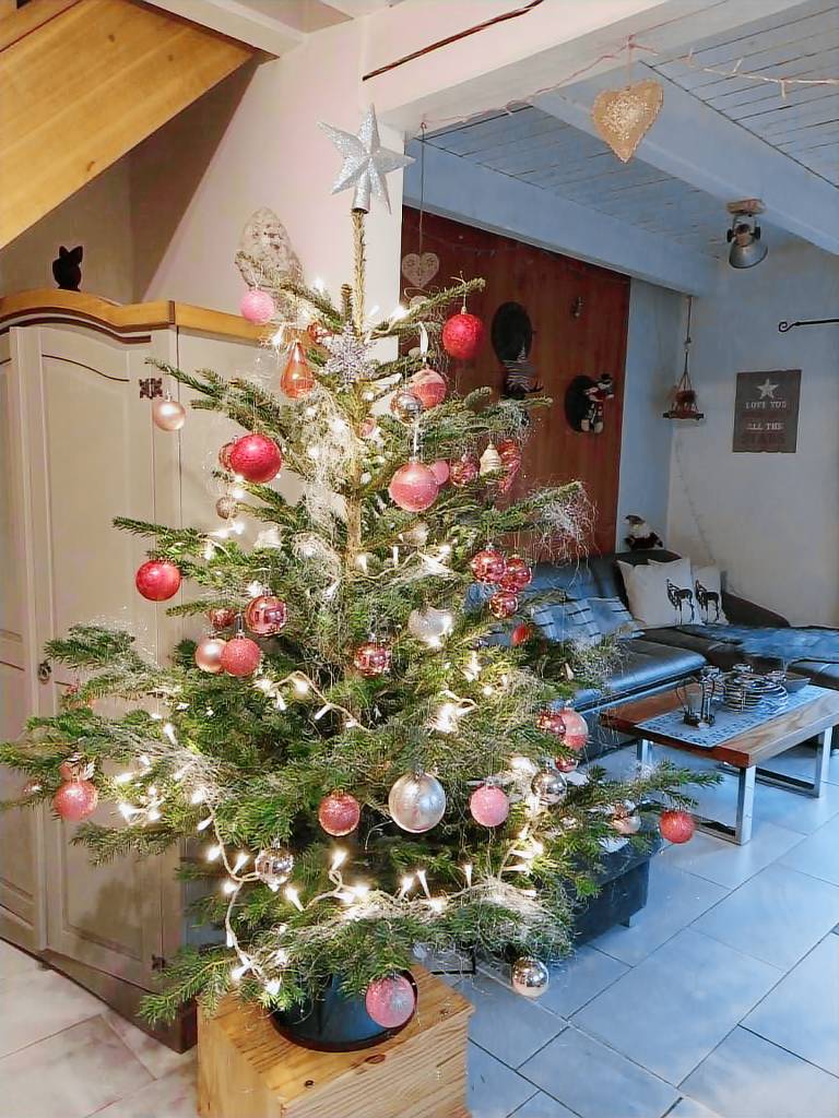 Ferienhaus  Hohegeiß